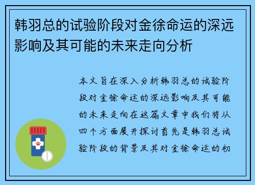 韩羽总的试验阶段对金徐命运的深远影响及其可能的未来走向分析
