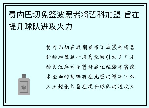 费内巴切免签波黑老将哲科加盟 旨在提升球队进攻火力